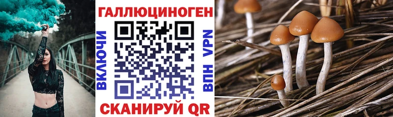 Галлюциногенные грибы ЛСД  купить закладку  Тулун 